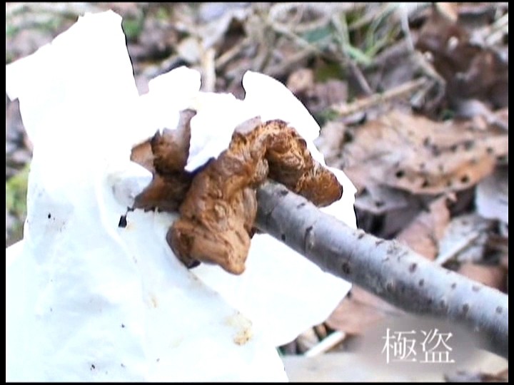 KTMC-014 第 20 部分 - 163 分钟