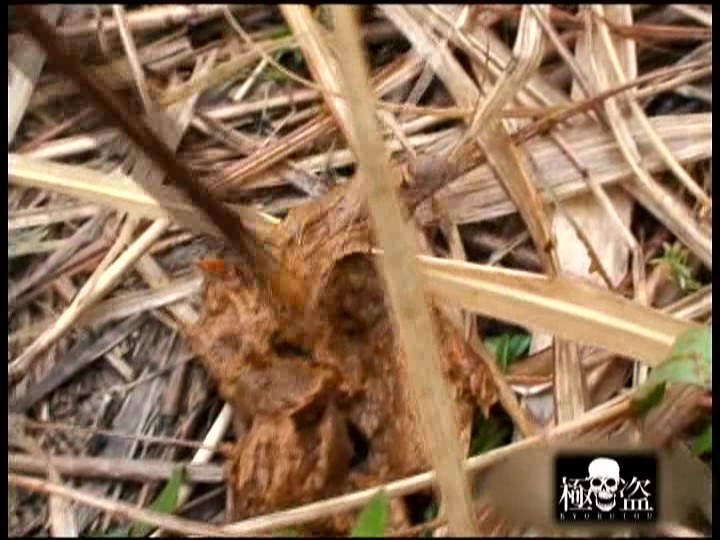 KTMH-009 Bagian 12 - 162 minit