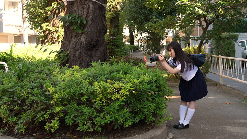 MDS-900 Part 1 - 30 minutes