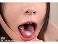 サンプル画像