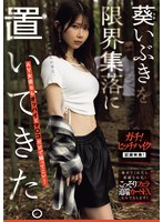 葵いぶきを限界集落に置いてきた。AV女優ならオッパイとマ○コだけで帰ってこい！