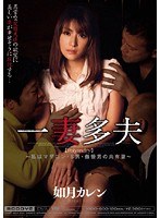 一妻多夫 ～私はマザコン・S男・傲慢男の共有妻～ 如月カレンのジャケット画像