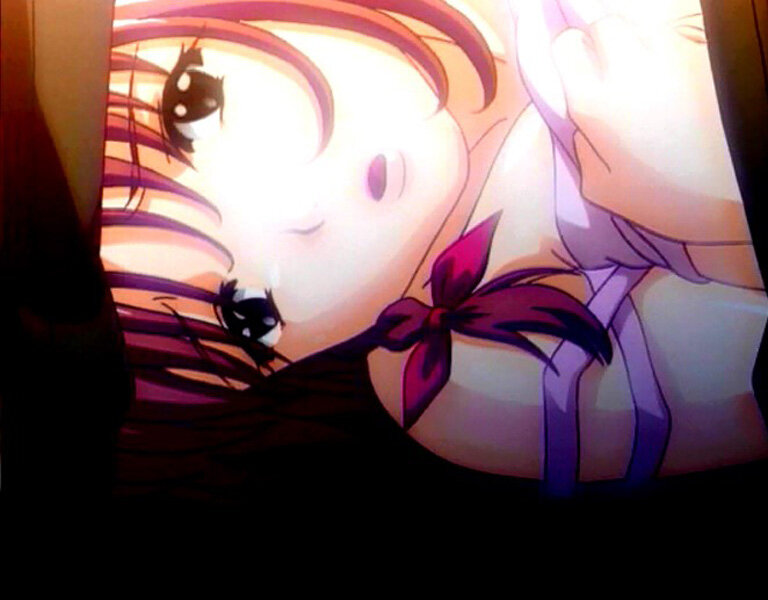 【アニメ】新・最終痴●電車 完全版(廉価版) 画像19