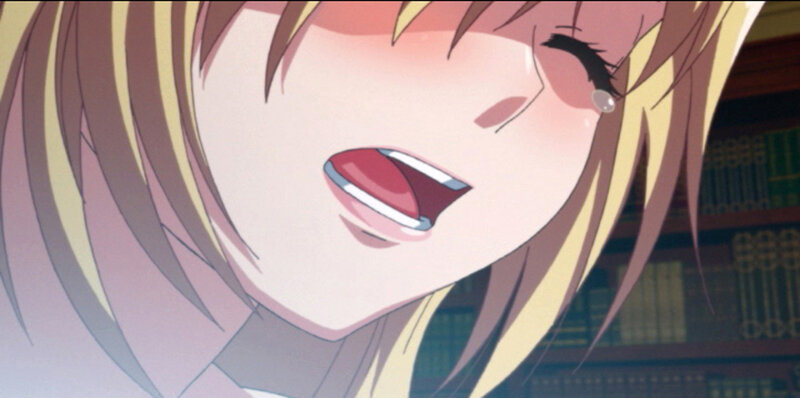 【アニメ】姫隷奴 〜牝へと堕ちゆく双子の王女〜CorporateEdition(廉価版) 画像13