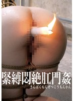 緊縛悶絶肛門姦