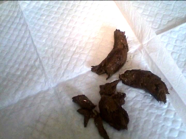 ODV-253 パート 16 - 105 分