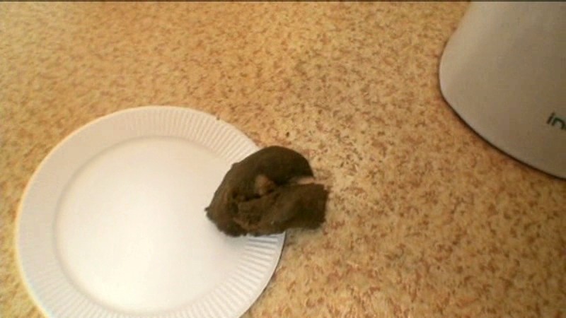 ODV-277 パート 13 - 90 分