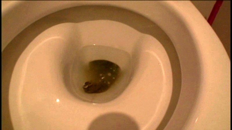 ODV-288 Part 20 - 125 minutes