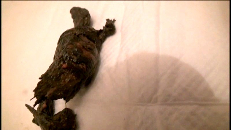 ODV-294 第 11 部分 - 90 分钟