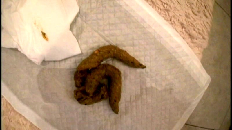 ODV-312 Bagian 11 - 80 minit