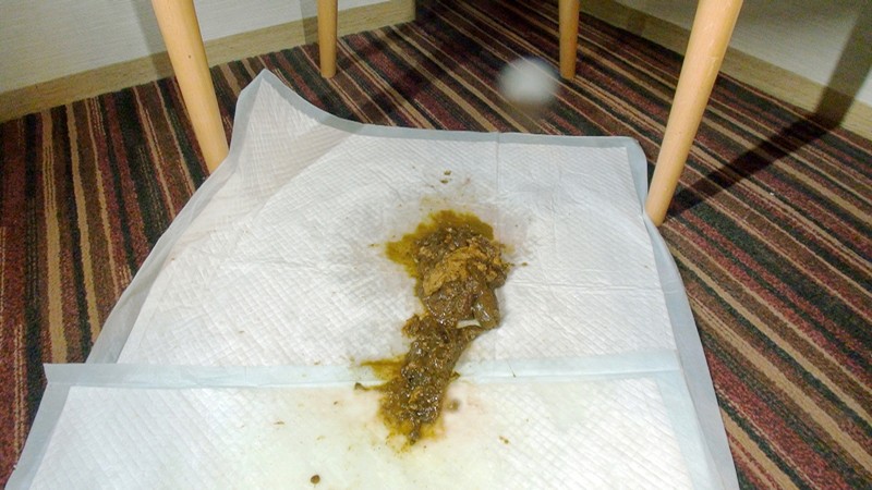 ODV-449 第 6 部分 - 50 分钟