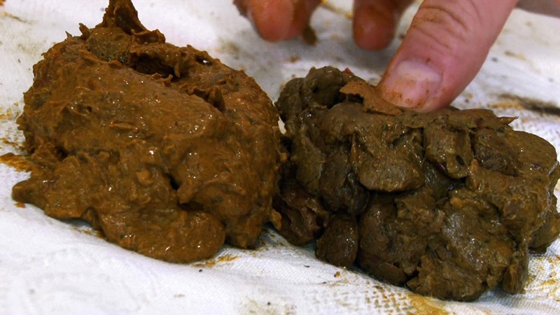 ODVC-003 Bagian 3 - 40 minit