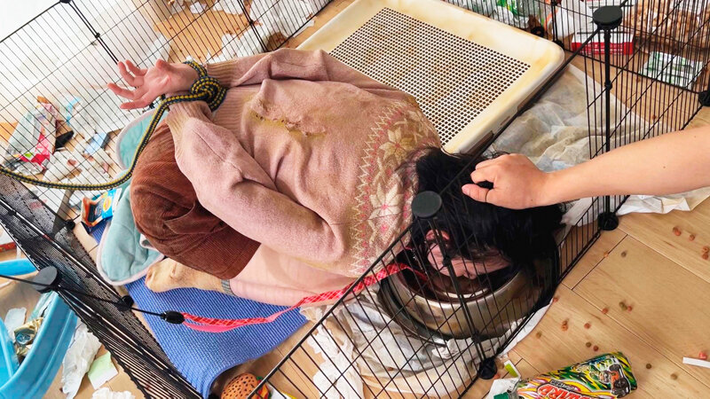 OMHD-027 パート 3 - 40 分