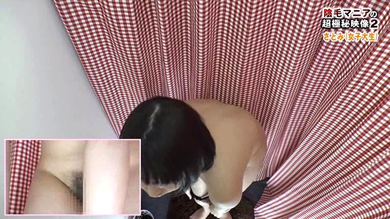 PARATHD-01731 パート 15 - 100 分