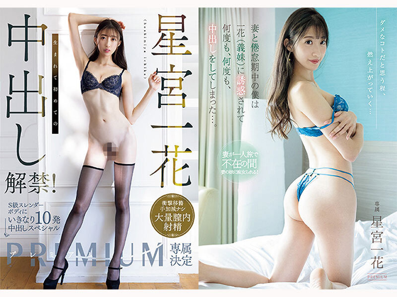 星宮一花 プレミアム完全収録PERFECTベスト12時間