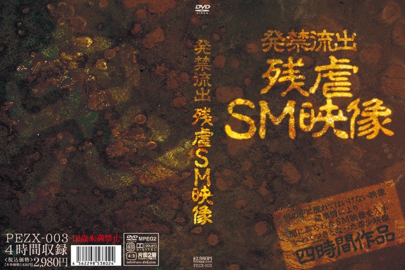 発禁流出 残虐SM映像