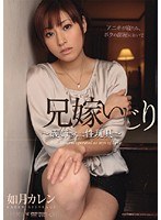 (pgd00413)[PGD-413]Messing Around with Sister-in-law -Sister-in-law