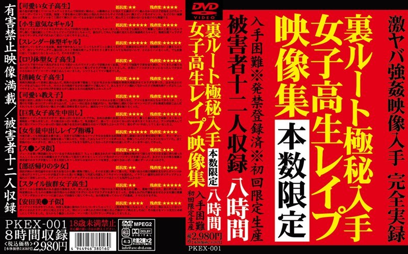 裏ルート極秘入手 女子校生レイプ映像集