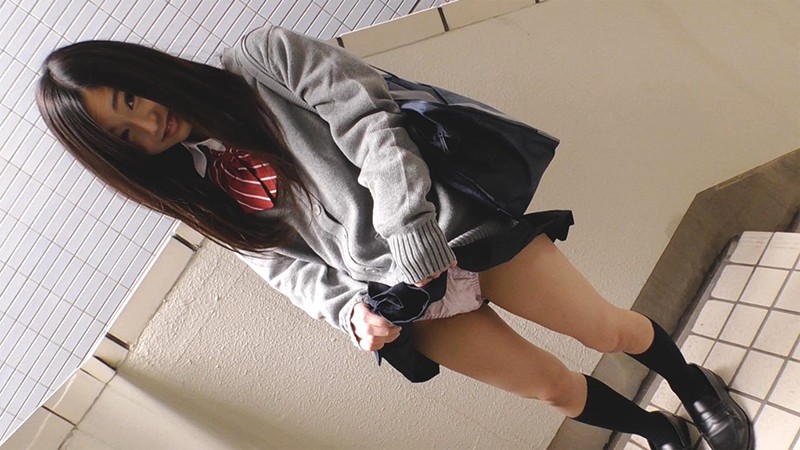 PKPD-088 パート 1 - 30 分