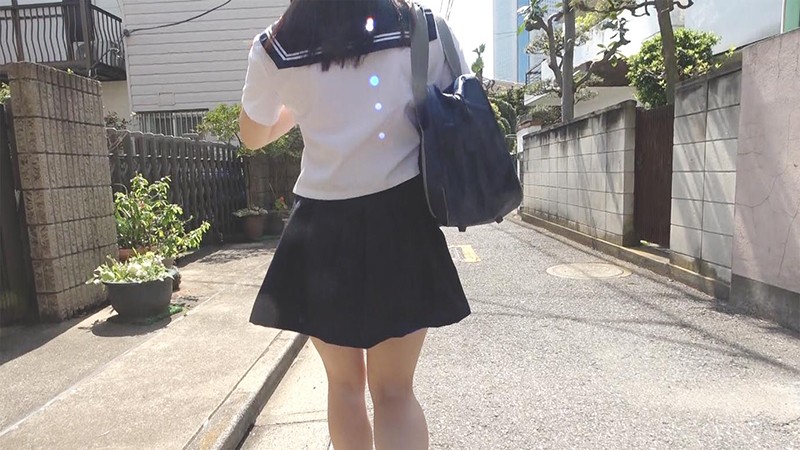 PKPD-101 第 1 部分 - 30 分钟