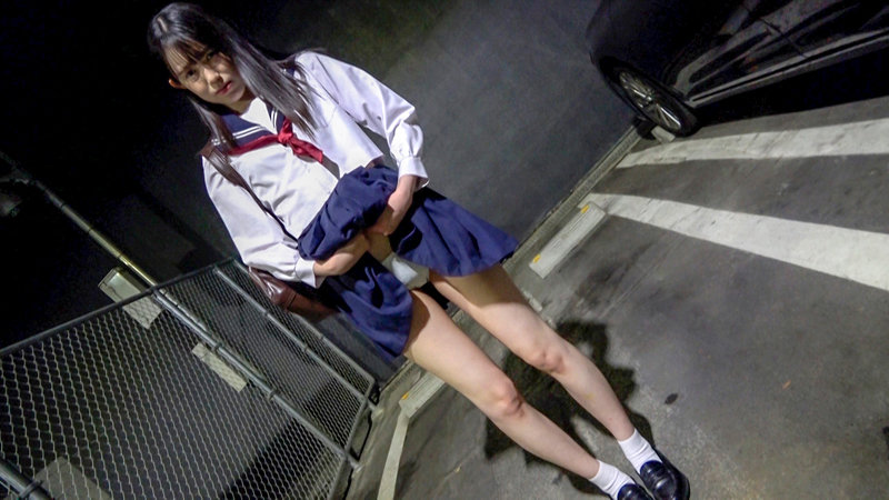 PKPD-204 第 2 部分 - 38 分钟