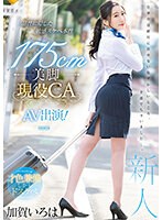 品性に隠した敏感スケベ本性 175cm美脚現役CA AV出演！ 加賀いろは