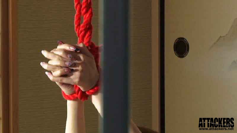 RBD-243 第 10 部分 - 111 分钟