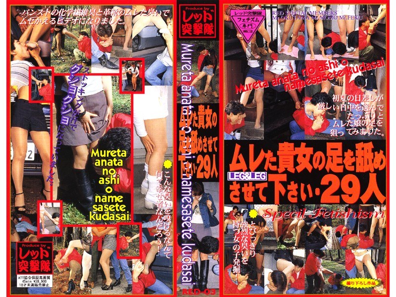 女の事件簿シリーズ2 林真由美和歌山の熟欲 性と欲に飢えた和歌山毒物カレー事件