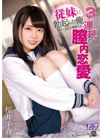 (royd00012)[ROYD-012]従妹に勃起した俺 ダメだと余計に興奮する3日連続の膣内恋愛 桜井千春 ダウンロード