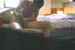 ǿͥʥѥ֥DE6 S22 No.8