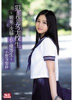 犯された女子校生〜媚薬で洗脳された優等生〜 小野寺梨紗