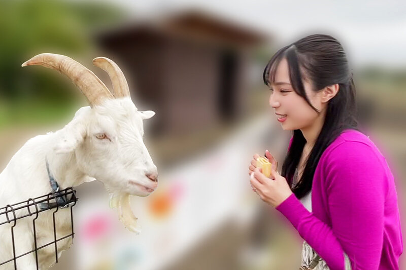 いつでもどこでも人妻オナホ したがり温泉旅行 藤原真帆 3枚目