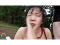 サンプル画像
