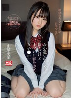 (ssis00022)[SSIS-022]討厭零用錢，但把春天賣給老生的女孩 - 山崎水愛 下載