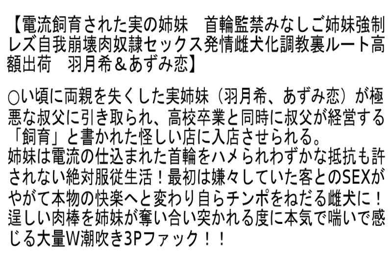 【お得セット】極美女VIP女優達の雌犬化調教種付けセックス！ 川上ゆう まりか 桐原あずさ 長澤果奈 羽月希 あずみ恋 - Image 6