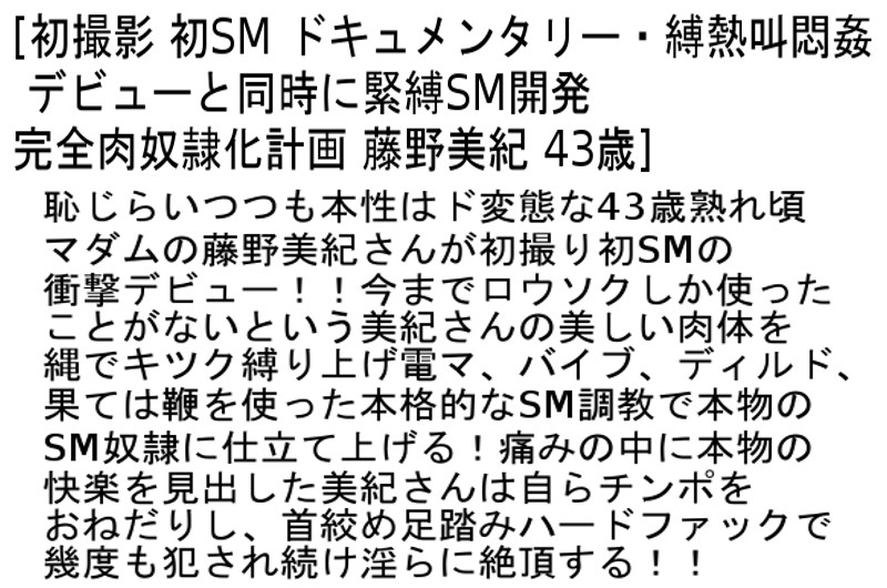 STCETD-041 第 2 部分 - 55 分钟