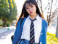 サンプル画像1