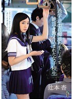 team00065[TEAM-065]通学途中に痴●の手によって絶頂を教え込まれた女子校生 辻本杏