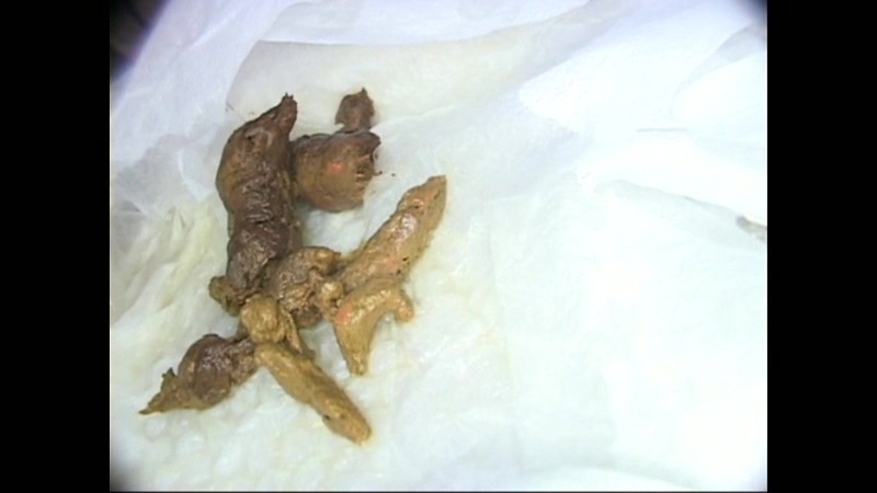 TMGP-004 Bagian 4 - 42 minit