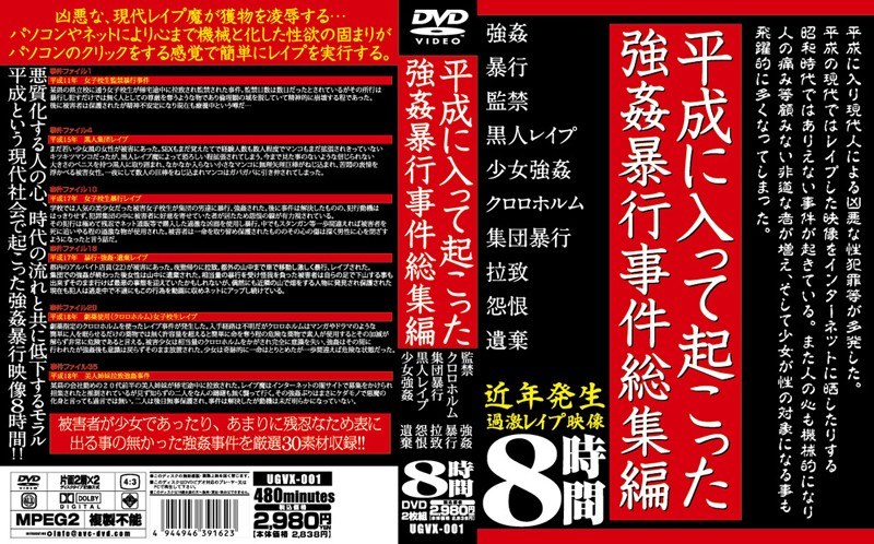 平成に入って起こった強姦暴行事件総集編