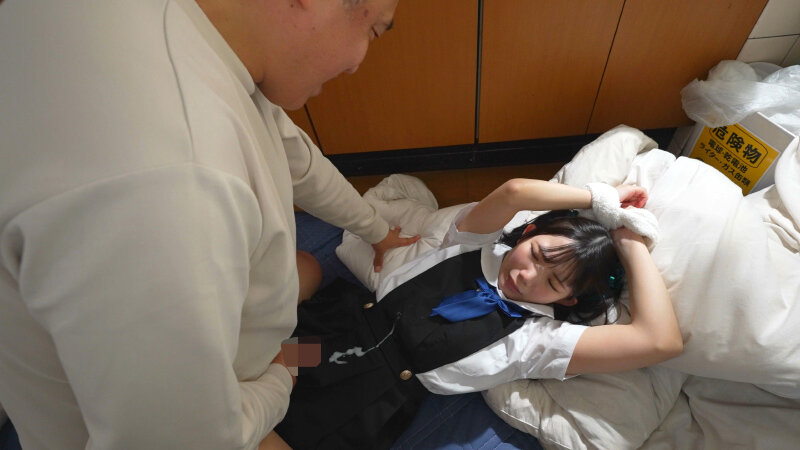 おぼこい花嫁を孕ませ性交 南日菜乃