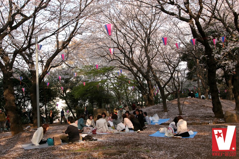 VICD-158 Part 7 - 144 minutes