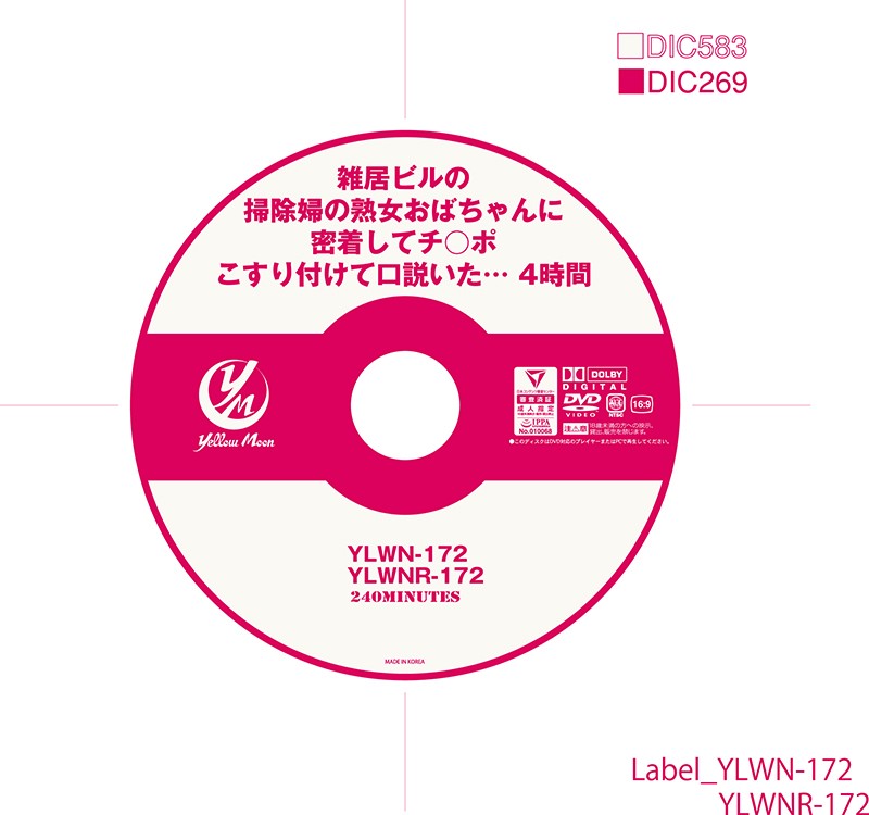 YLWN-172 パート 1 - 30 分