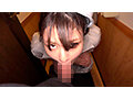 サンプル画像