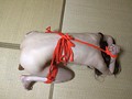 肉便器中出し乱交 - FANZA版サンプル画像