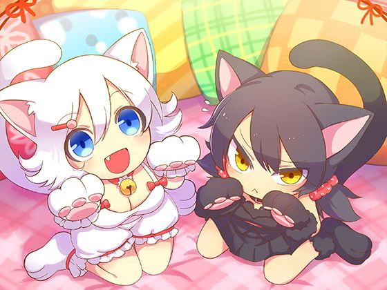 2匹いっしょににゃんにゃんこ画像no.3