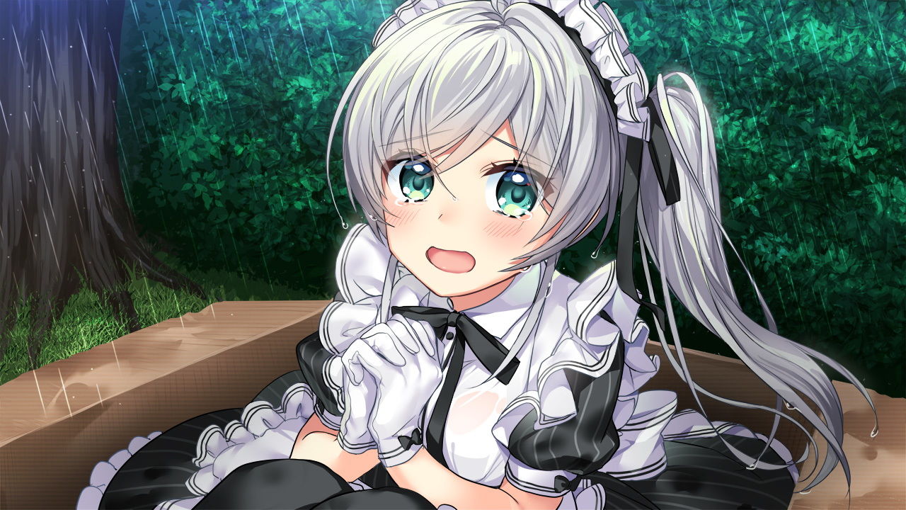 サンプル画像3:拾われメイドのセシル [作品ID:d_131079]