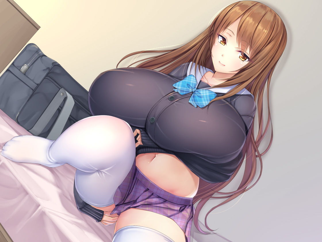 サンプル画像1:【バイノーラル録音】ブラコンお姉ちゃんとあまとろ近親えっち(豚骨ウェーブ) [d_149500]