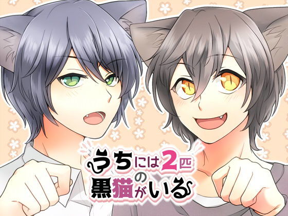うちには2匹の黒猫がいるのジャケット