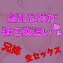 淫乱でセックスにハマった妹が裸で夜●いにくる。 d_156537のパッケージ画像 淫乱でセックスにハマった妹が裸で夜●いにくる。 d_156537のパッケージ画像